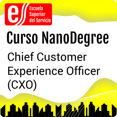 Chief Customer Experience Officer